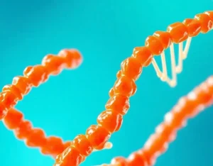 Read more about the article DNA Salmon Rejuran: Apa itu?